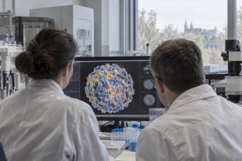 Virus klíšťové encefalitidy má v obalu překvapivé lysiny