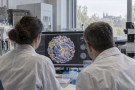 Virus klíšťové encefalitidy má v obalu překvapivé lysiny Virus klíšťové encefalitidy má v obalu překvapivé lysiny