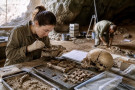 Nové druhy lidí a moderní genetika mění příběh lidské evoluce Nové druhy lidí a moderní genetika mění příběh lidské evoluce