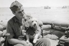 Horrie přežil válku. Pak ho prozradila fotografie v novinách Horrie přežil válku. Pak ho prozradila fotografie v novinách