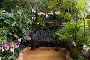 Skleník Fata Morgana září barevnými květy orchidejí